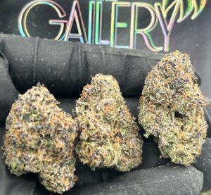 A5 CANDY