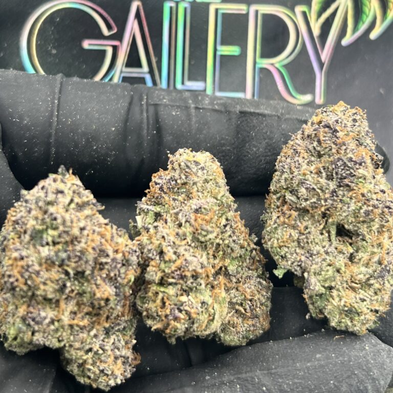 A5 CANDY