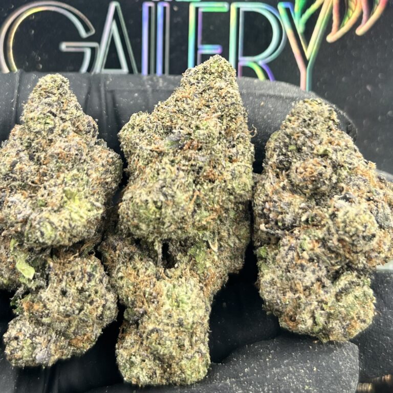 PURPLE GOBSTOPPERS
