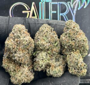 STRAWBERRY GELATO