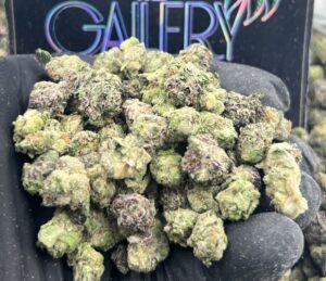 CHERRY NERDS