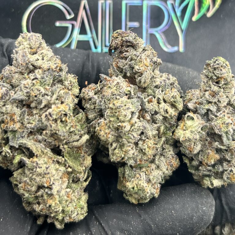 BLUE GELATO