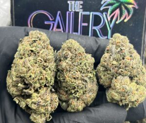 PURPLE LCG