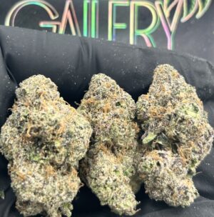 CANDY STORM