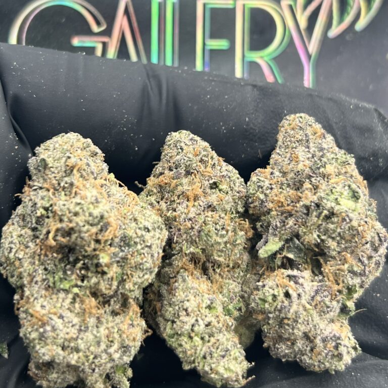 CANDY STORM