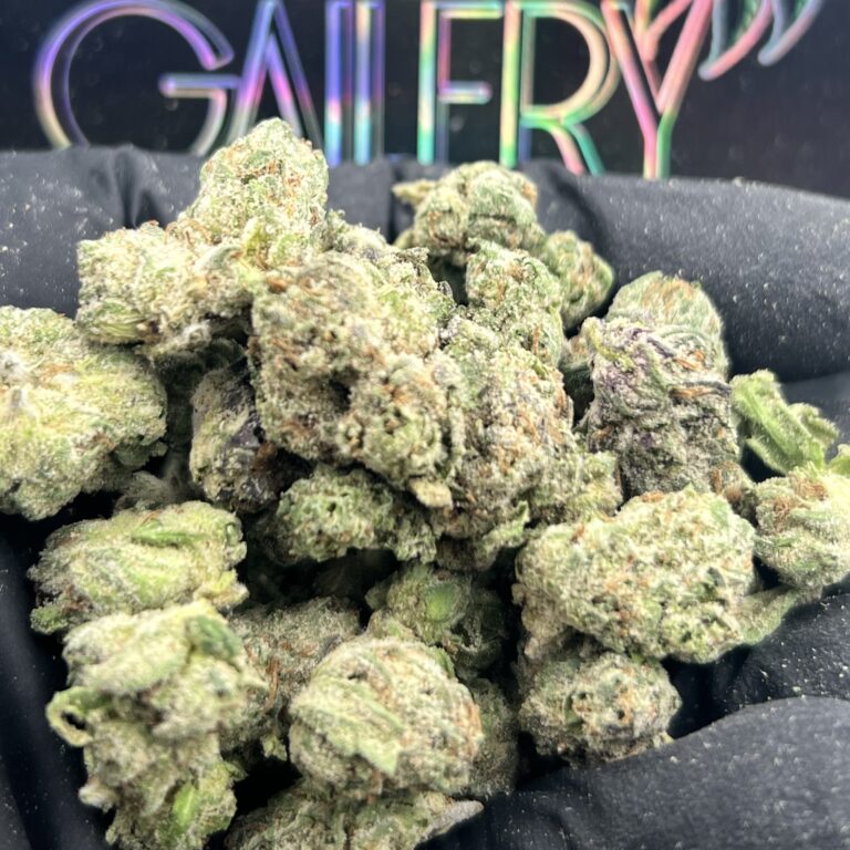 LATOHEADS GAS ONLY