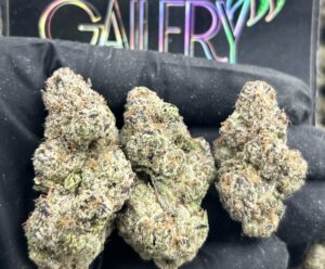 RASPBERRY CREAMSICLE PUFFZ