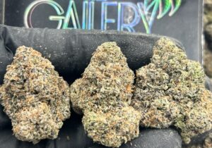 JAWBREAKERS