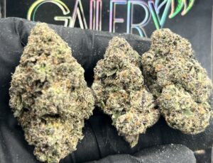 WHITE CHERRY