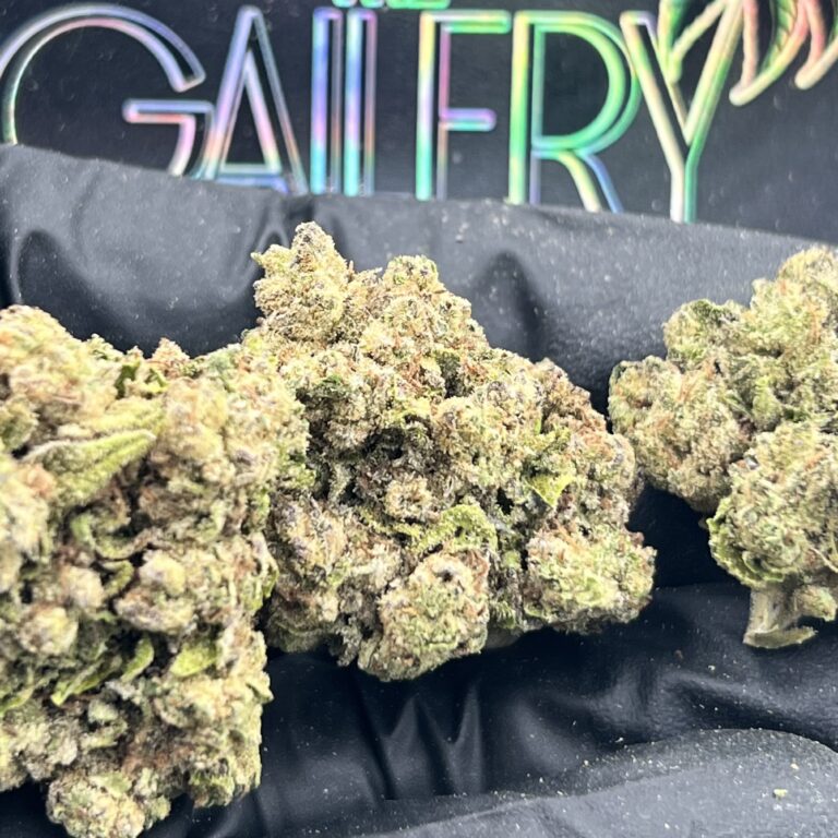 LEMON CHERRY GELATO