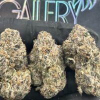 GREEN JOLLY RANCHERS