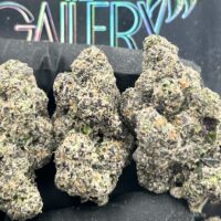 RADIO ACTIVE SLURPEE