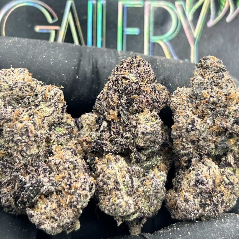 SUPREME GELATO