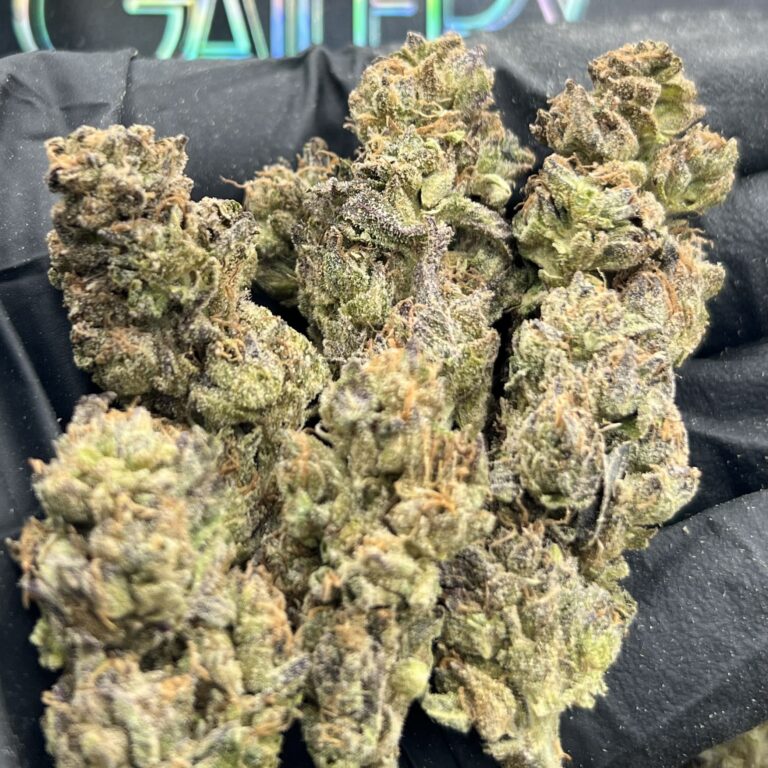 OCTANE GELATO