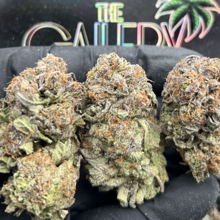 PURPLE PLATS