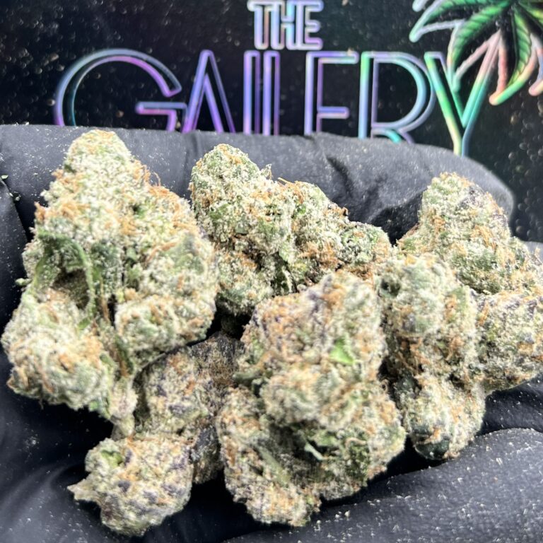 GASSY GELATO