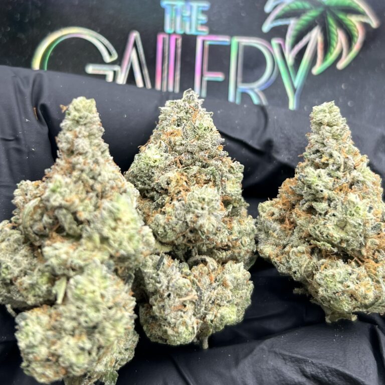 GORRILA GLUE
