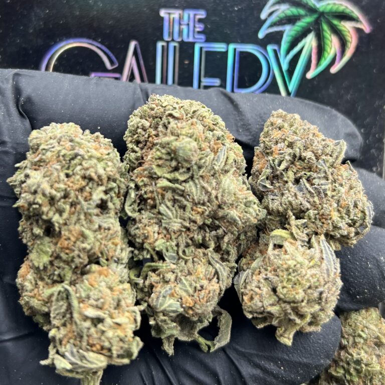 GELATO CAKE