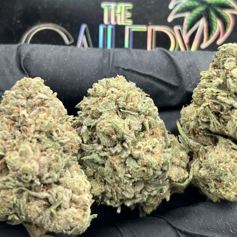 LEMON GUSHERS