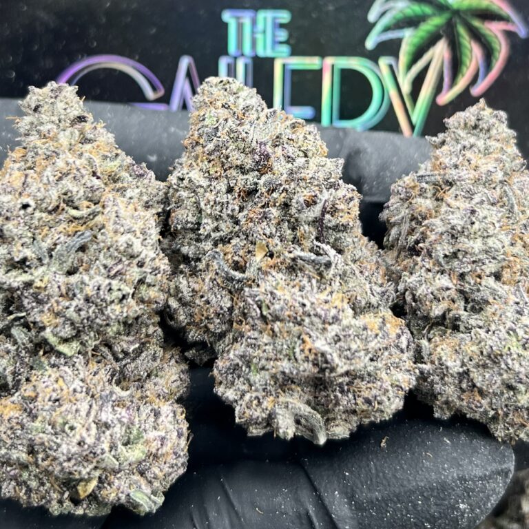 PURPLE CHEETAH PISS