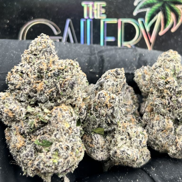 SNOOP