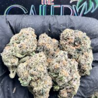 COSMIC CANDY