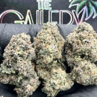 GAS RUNTZ