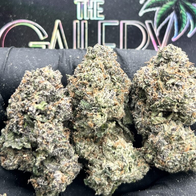 GAS RUNTZ