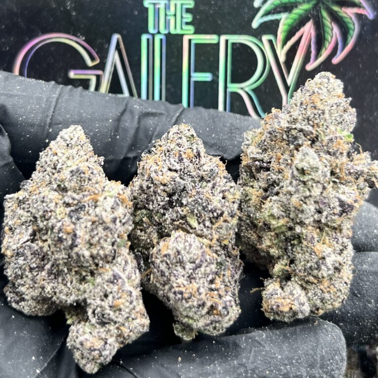 PURPLE GUMBO