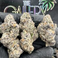LEMON CHERRY GUSHERS
