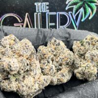 SWEET CAVIAR