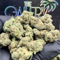 OG KUSH