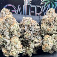 PURPLE BUBBA