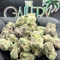 BUBBLE GUM