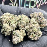 CREAM SODA
