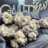 BUBBLE GUM