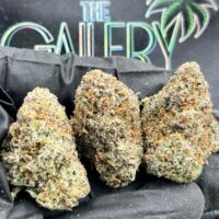 LEMON CRUSHER