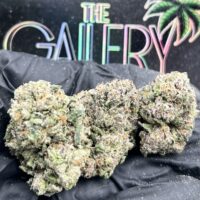 SOUR BURST